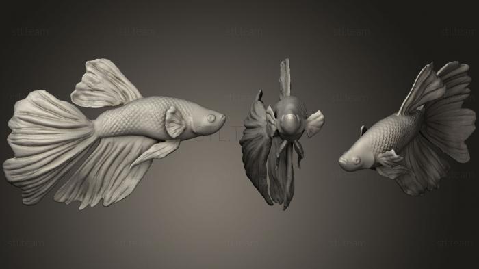 3D модель Бета-Рыба (STL)